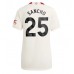 Manchester United Jadon Sancho #25 Tredje matchtröja Dam 2023-24 Kortärmad Billigt